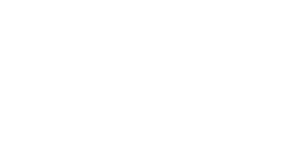 Metic Merch